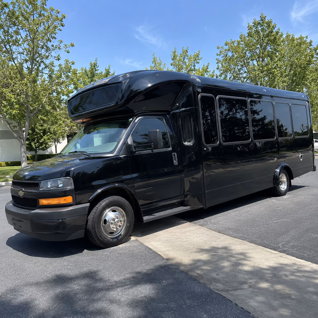 binghamton 15 passenger party bus